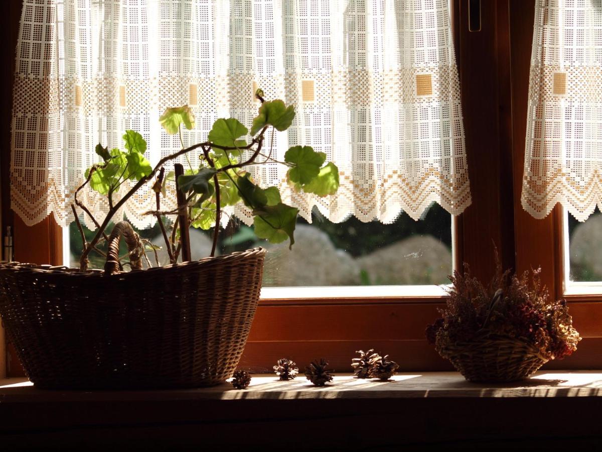 Bystry, Pod Nosalem Guest house Zakopane